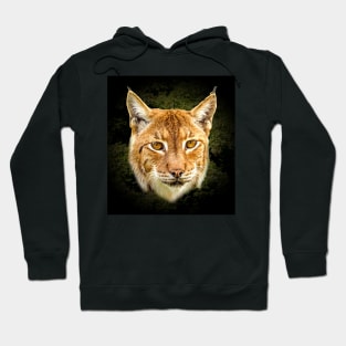 Lynx Hoodie